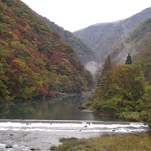 東北の画像