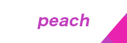 仙台発 札幌(新千歳)行き ピーチ(Peach)